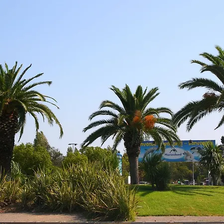 L'etoile De Mer كانيو سور مير